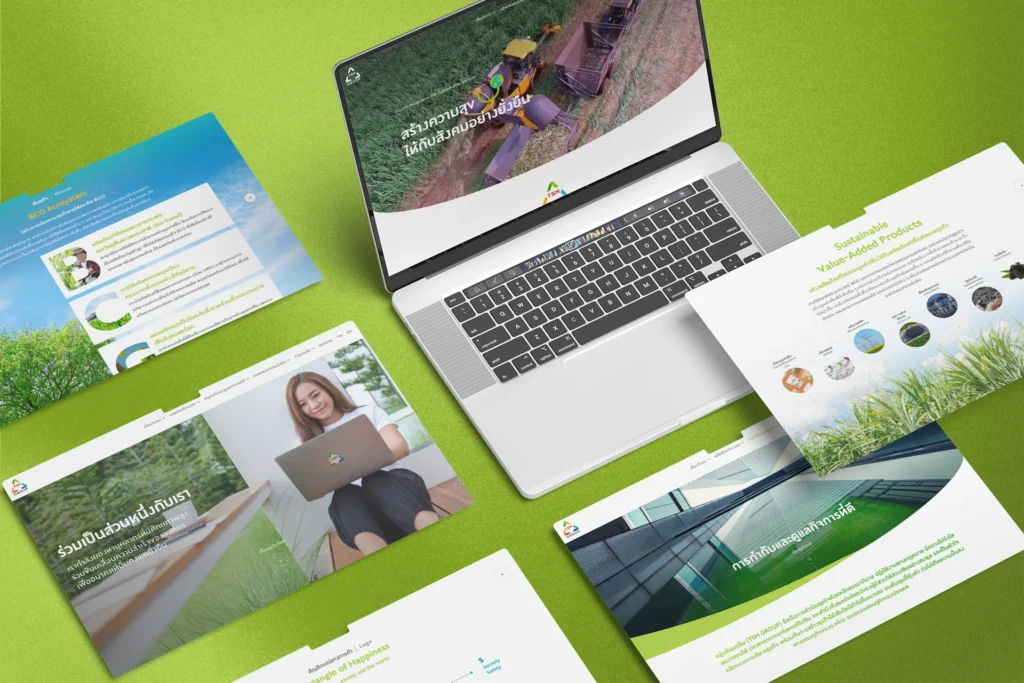 TSM Group: เว็บไซต์บริษัทขนาดใหญ่ เน้นการนำเสนอที่มีมาตรฐาน เป็นเอกลักษณ์สูง